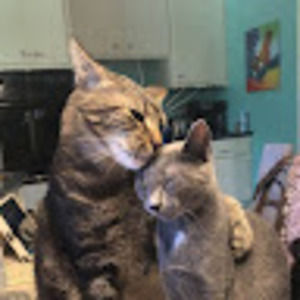 Meet your Posher, Alexandra